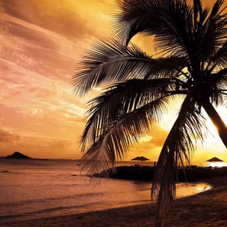 Miami summer wallpaper