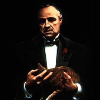 Classic cinema wallpaper