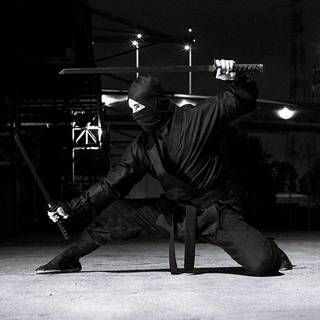 Bujinkan wallpaper