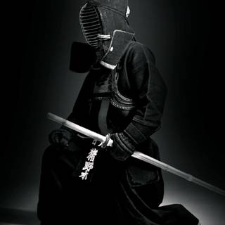 Bujinkan wallpaper