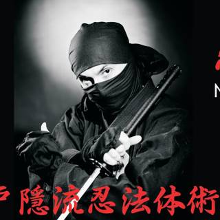Bujinkan wallpaper