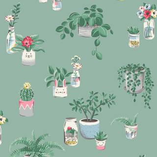 Plant phone wallpaper