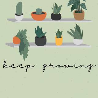 Plant phone wallpaper