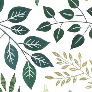 Plant phone wallpaper