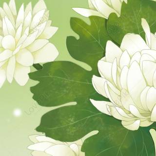 Plant phone wallpaper