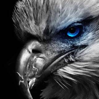 Old iPhone 4k wallpaper