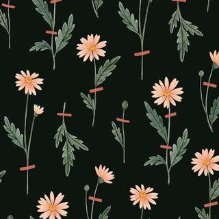 Plant phone wallpaper