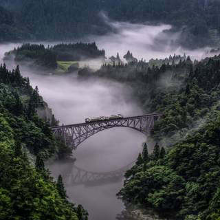 4k nature PC wallpaper