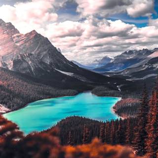 PC landscape wallpaper