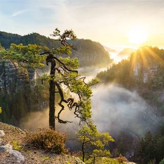 4k nature PC wallpaper