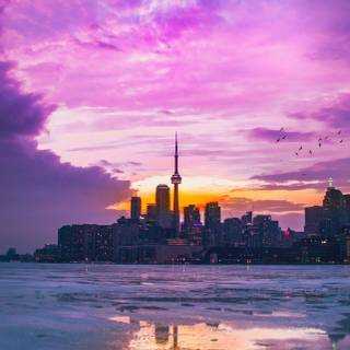 4k pink iPhone wallpaper