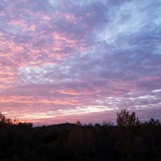 Pink sky 4k wallpaper