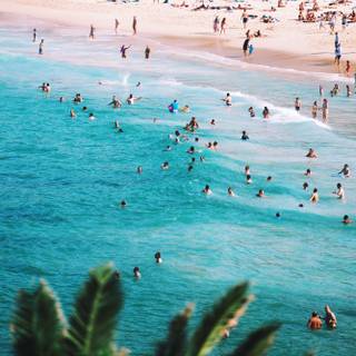 Summer people wallpaper