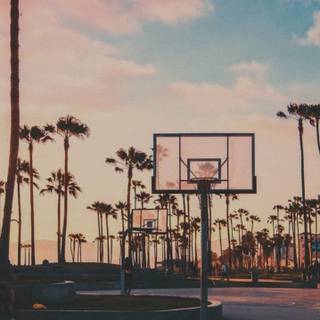 Summer basketball wallpaper
