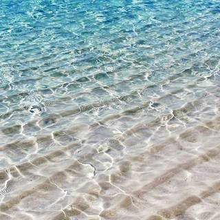 Summer calm wallpaper