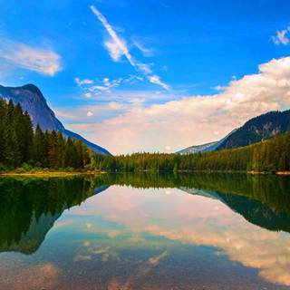 Summer calm wallpaper