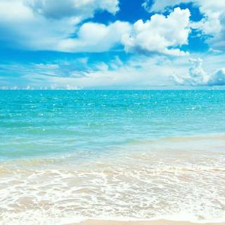 Summer calm wallpaper