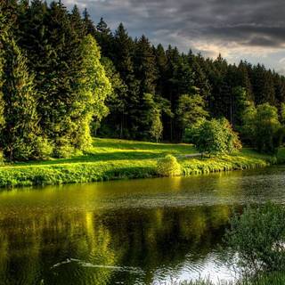 Summer calm wallpaper