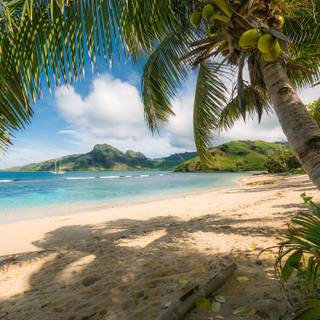 Summer calm wallpaper