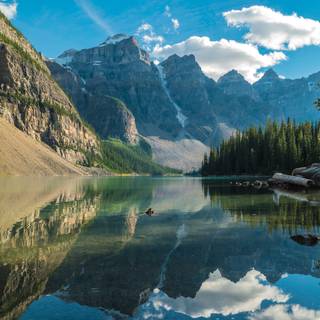 Summer calm wallpaper