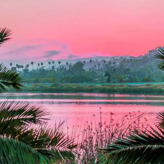 Summer calm wallpaper