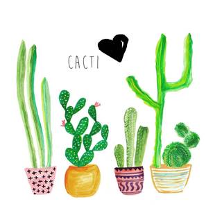 Summer cactus wallpaper