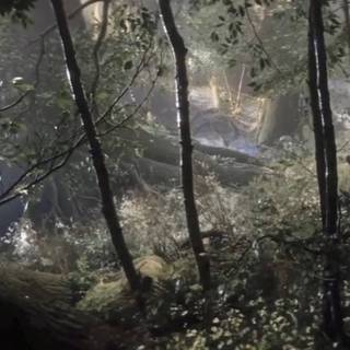 Fairycore grunge wallpaper