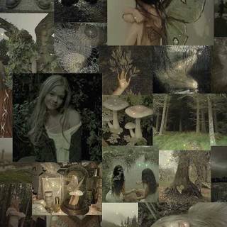 Fairycore grunge wallpaper