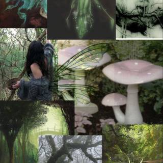 Fairycore grunge wallpaper