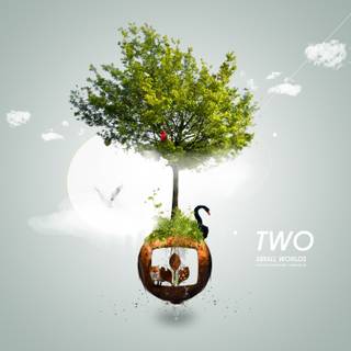 Nature logo wallpaper