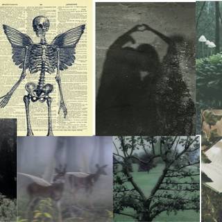 Fairycore grunge wallpaper