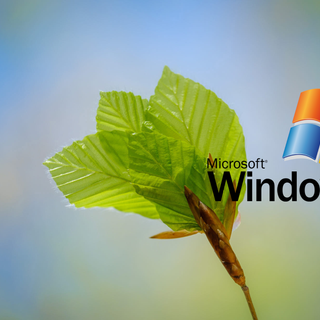 Nature logo wallpaper