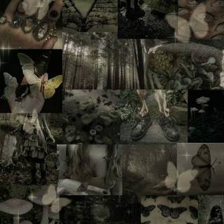 Fairycore grunge wallpaper