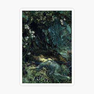 Fairycore grunge wallpaper