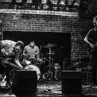 The Rare Occasions wallpaper