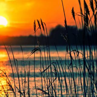 Lake sunset wallpaper