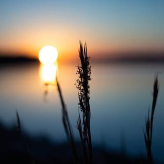 Lake sunset wallpaper