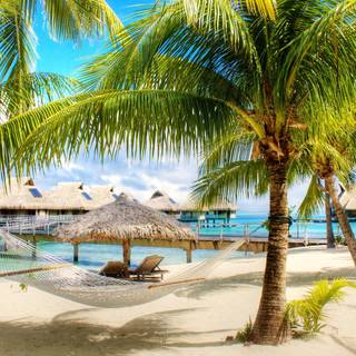 Summer resort wallpaper