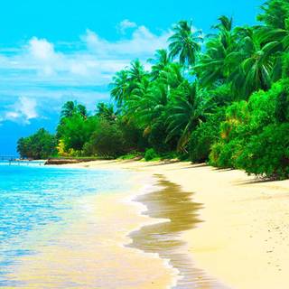 Summer resort wallpaper