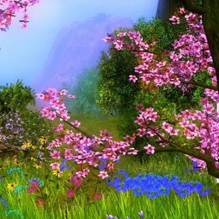 Spring season Android wallpaper