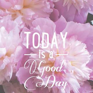 Spring season Android wallpaper