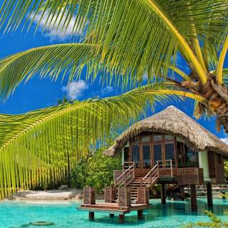 Summer resort wallpaper