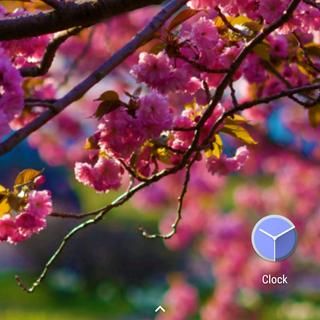 Spring season Android wallpaper