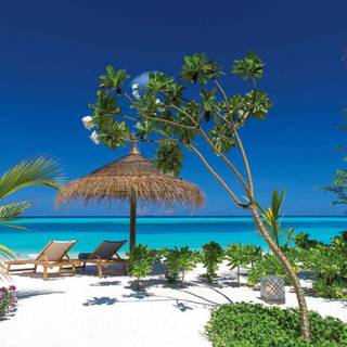 Summer resort wallpaper