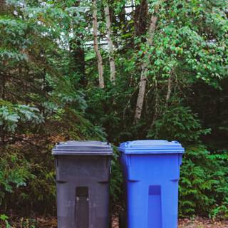 Recycle bin wallpaper