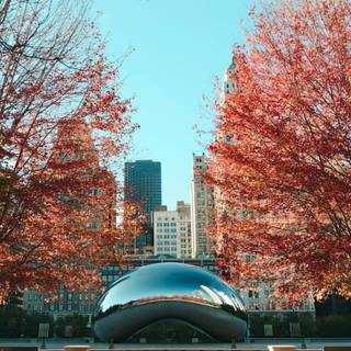 Chicago Bean wallpaper
