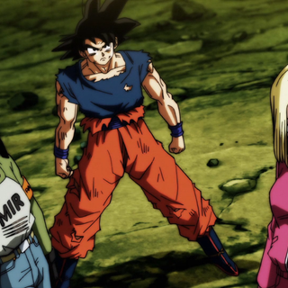 Dragon Ball Android 17 and 18 wallpaper