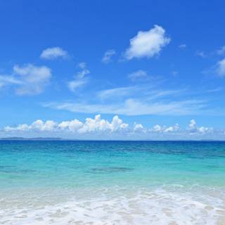 Summer portrait wallpaper