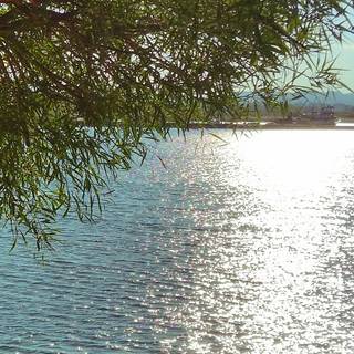 Summer views wallpaper