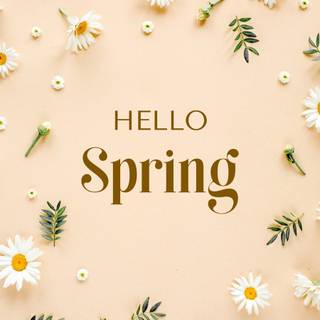 Hello spring aesthetic wallpaper